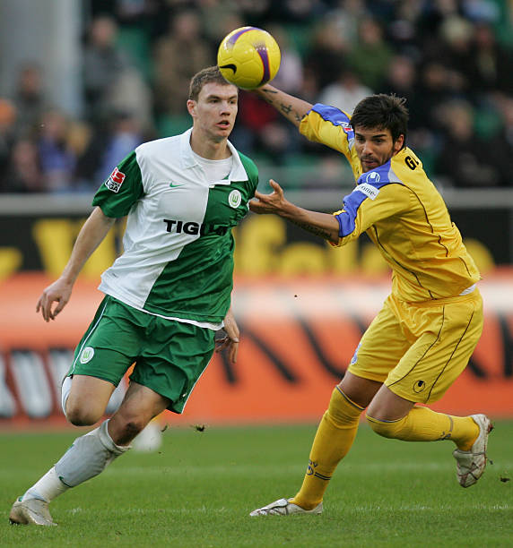 在这篇文章 在这篇文章