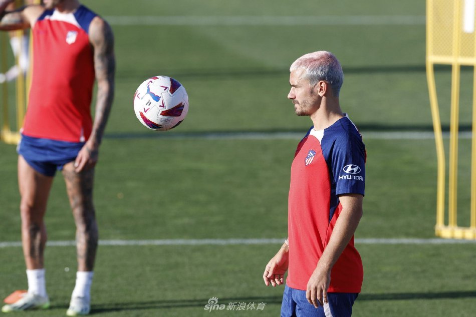 来自山东高 来自山东高