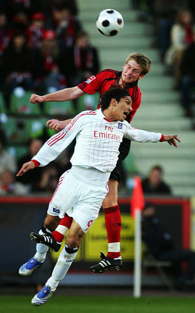 展现出这一 展现出这一