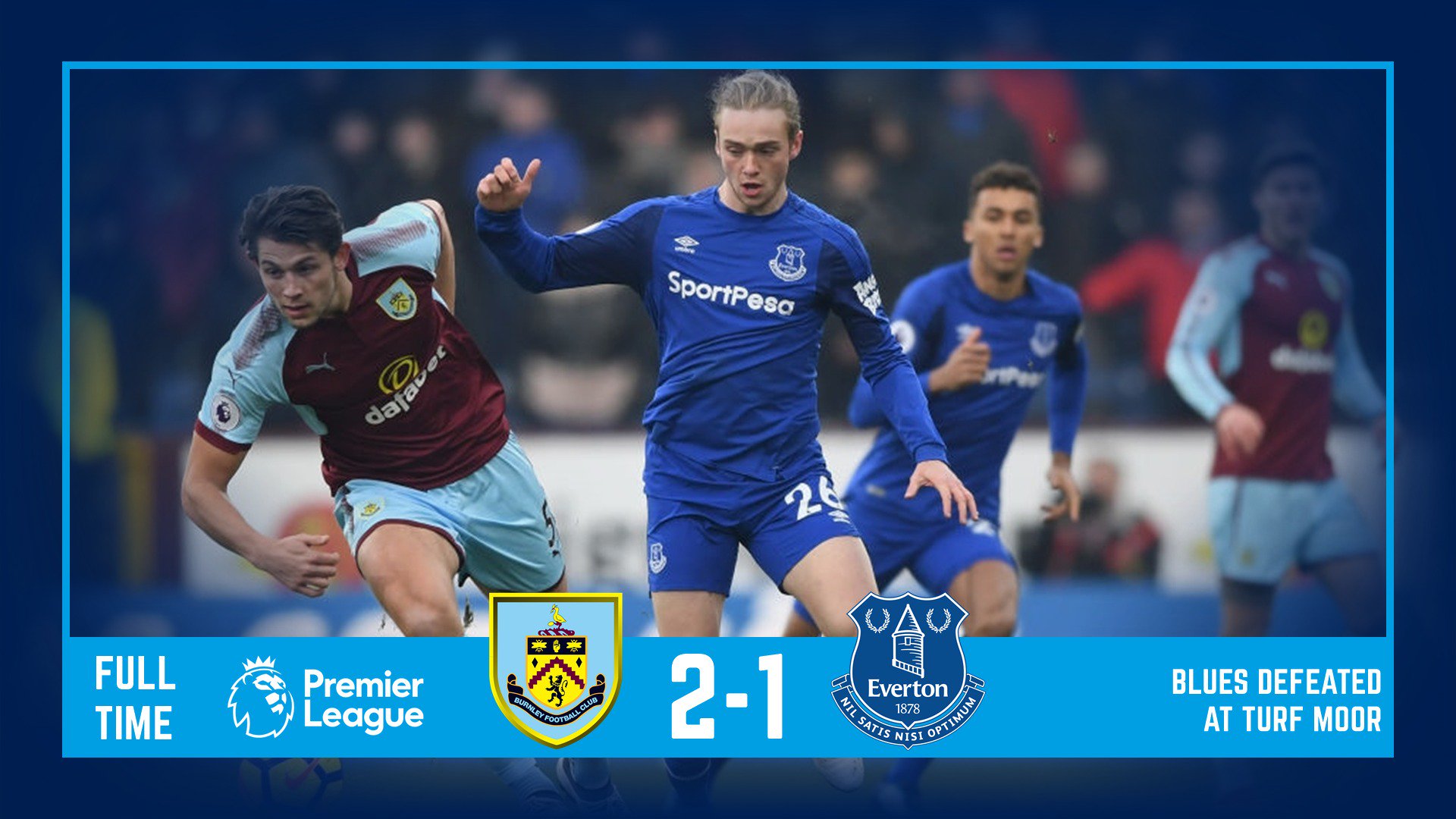 不仅仅是依 不仅仅是依